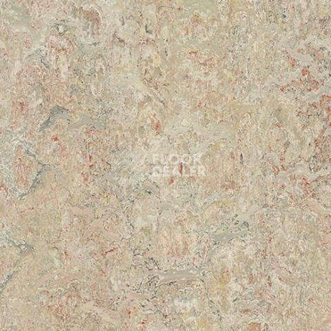 Линолеум Forbo Marmoleum Marbled Vivace 3427-342735 agate фото 1 | FLOORDEALER